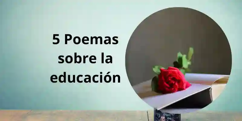 Poema Sobre la Educación 5 Ejemplos AmorVital com